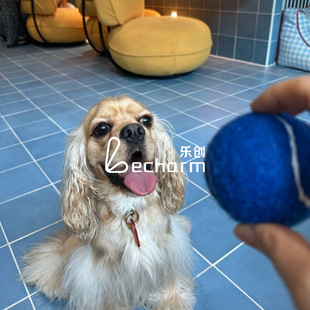 �͹���ī�{�ֹ��u�l���g�ɴu�¹��̨�شuԡ�Ҡ��uȫ��200*200mm