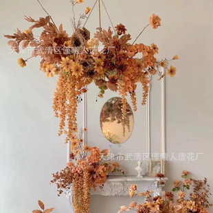 2025�¿���潹��ɫ��ɫϵ��Y���滨�ı����b���c���ϻ��ٻ�