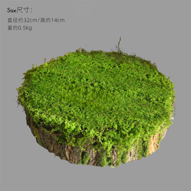 둥근나무껍질꽃그릇 - 지름 32cm