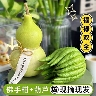 ��Ȼ��޹���ָ��r�����r���ֹϔ[���幩�^�p���ʳ�û�������