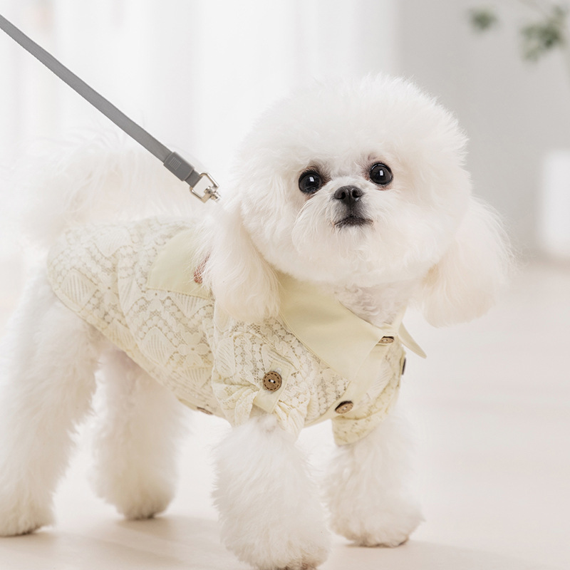 Perro primavera y verano de dos patas de encaje bolsillo camisa pequeña y mediana perro chaleco hueco gato ropa de perro