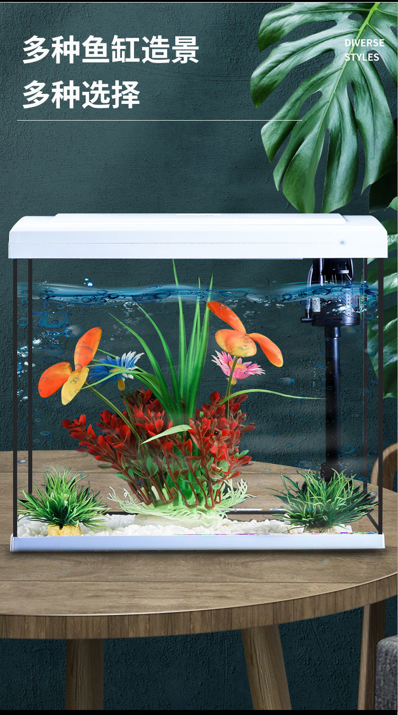 376930b6-96d5-4af8-a13d-8276b6cde706.jpe