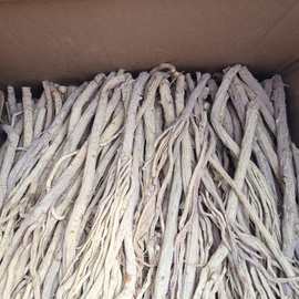 防风条去毛头防风带尾巴防风批发批发批发批发可食用