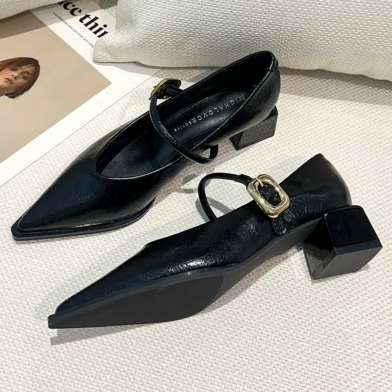 Острые профессиональные черные туфли на высоком каблуке женские толстые каблуки осень и зима 2025 новая французская обувь с мелким ртом