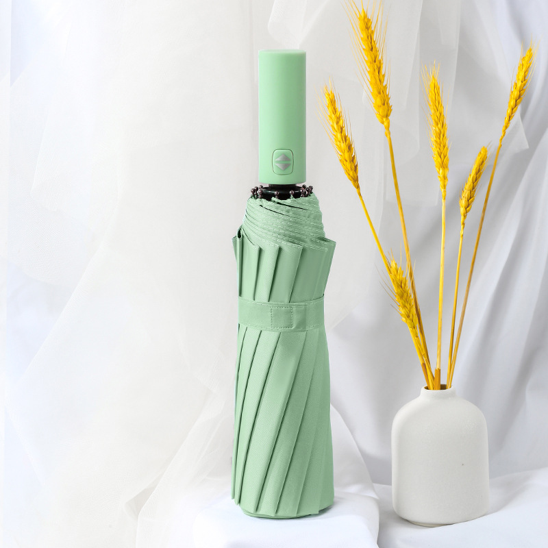 12 hueso automático negro pegamento fruta verde