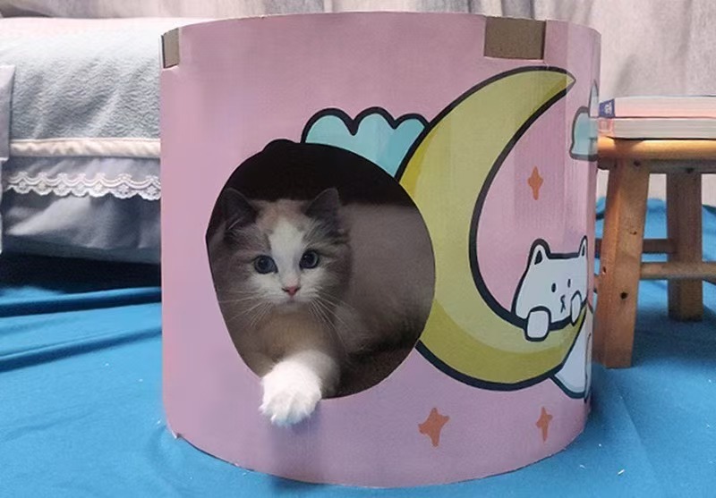 Wholesale cuatro estaciones generales gato gato gato agarrar tablero de té de leche barril de papel corrugado doble capa gato villa garra de molienda no desgaste