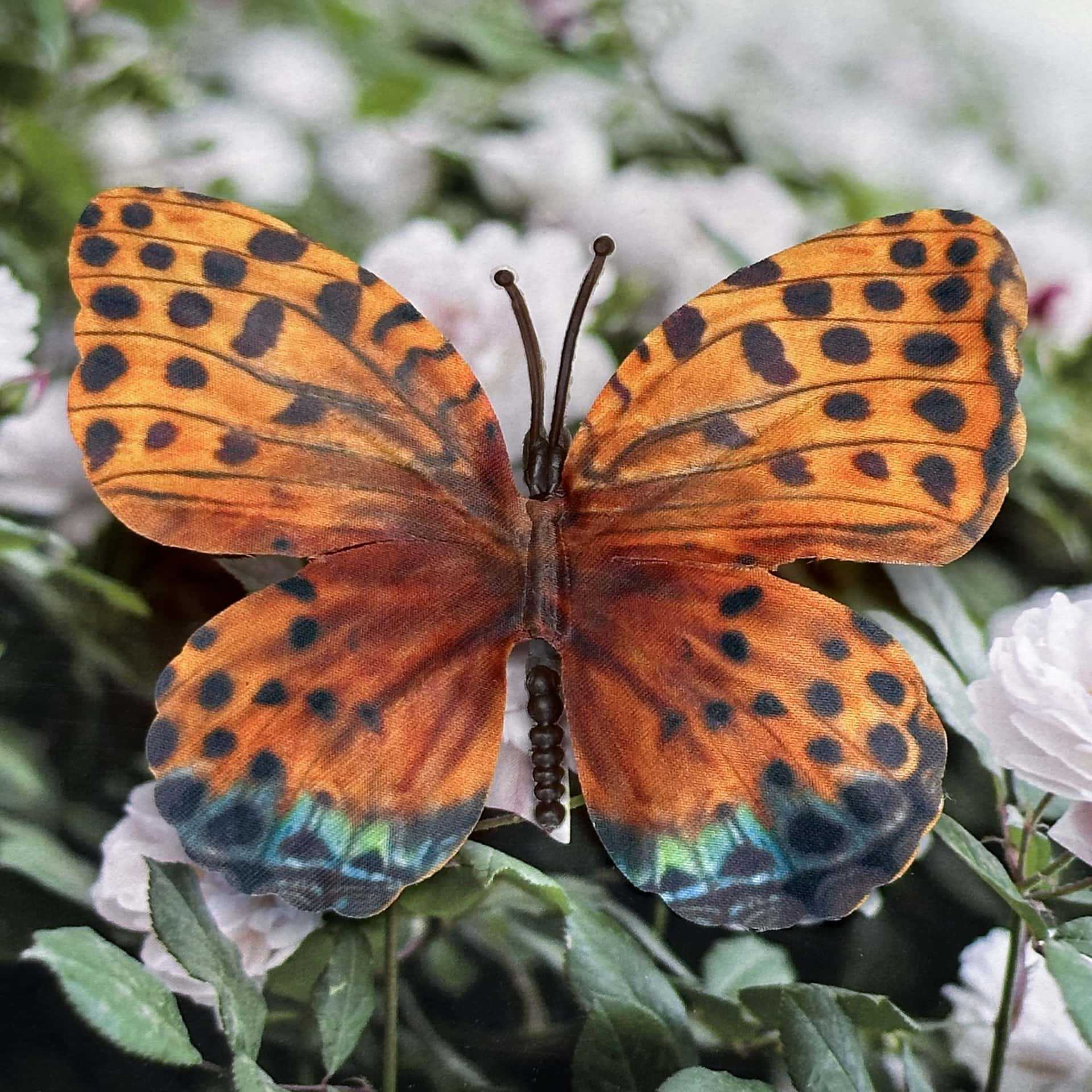 Seda 11CM color mariposa talla grande 20