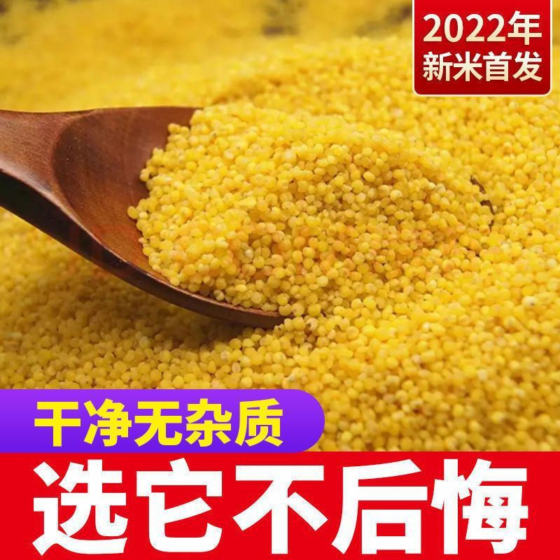 millet Wholesale 3 Huang Xin 3 Shanxi Farm Farm Grain Coarse Cereals One piece On behalf of One piece wholesale