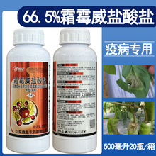 ����66.5%˪ù���}���}ˮ�� ���߲������rș�r��˪ù���}���}