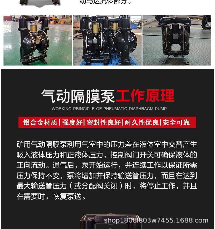 气动隔膜泵21 (2).png