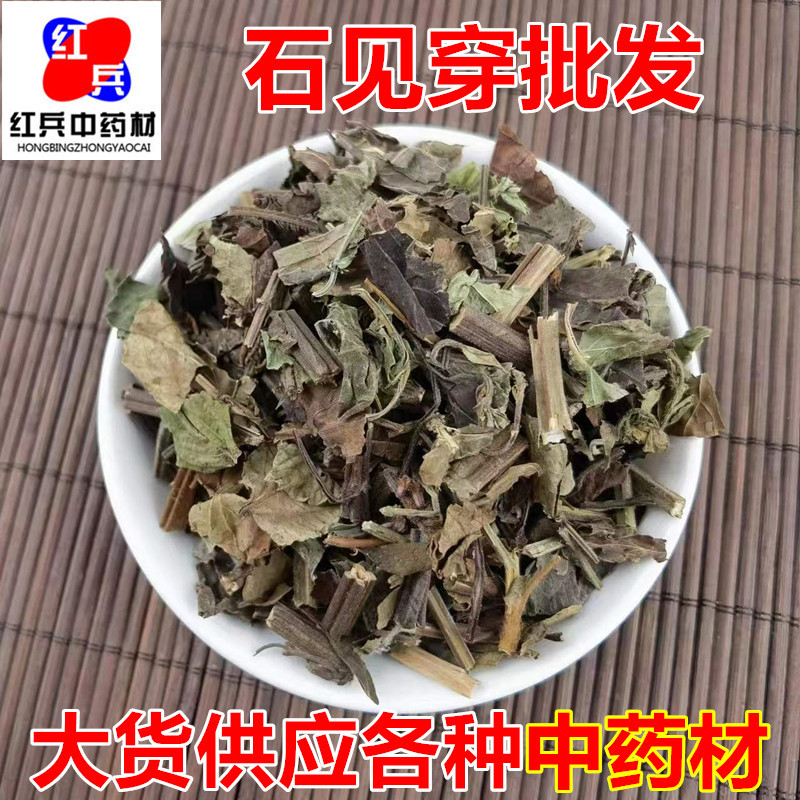 Shi Jian Chuan Dried Herb 500g Salvia chinensis Traditional TCM Decoction Herb overview