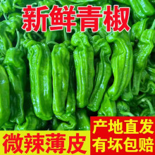 ���r��Ƥ�������r���ԷN��Ƥ�ཷ�Fժ��˽�ţ�ǽ��r���߲˲�΢��