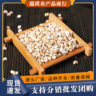 С��޲������ȼZ޲����޲�׳�С���ּZ��H����s�Z500g���l