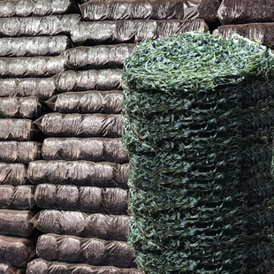 Ready-to-eat kelp strips - 1688 procurement encyclopedia