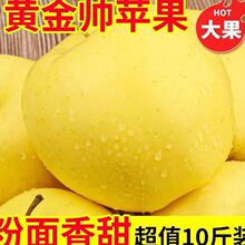 �SԪ���S�����O���|�������O���㽶�O���ʹ��O�����r��ժ�������