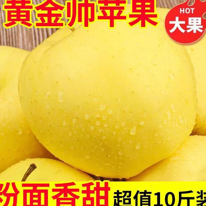 黄元帅黄金帅苹果东北奶油苹果香蕉苹果皇冠苹果新鲜采摘粉面刮泥