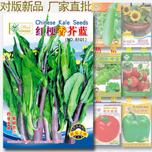 5�˼t������{�N�� �ϸ����m�� ���{���� �I�B�S�� �߲˷N�����l