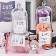 Aroma Diffuser Stone Plant Essential Oil Aroma Diffuser with Long-lasting Scent in the Bedroom, Flameless Aroma Diffuser Stone, Birthday Gift