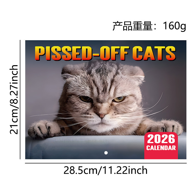 越境新製品 2026 カンフーキャット面白いカンフーキャットカレンダー壁乗馬釘掛けカレンダー|undefined