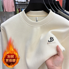 ������ʿë�¼ӽq�Ӻ����Iᘿ����´������ůѩ�᠖һ�w�q����