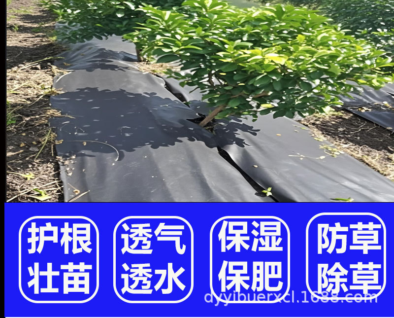 黑色防草布详情页