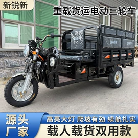 电动三轮车;其他电动车
