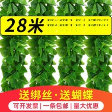 �����b��ړ��Gֲ�ٗl�����٘��~���ϻ���ˮ�ܵ����{���ӾG�~����