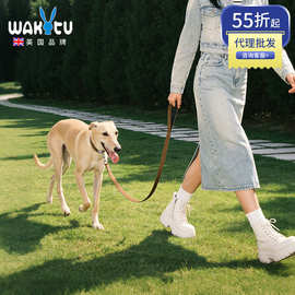 Wakytu英国 狗狗颈圈 小狗中大型犬脖圈宠物用品泰迪牵引防爆项圈