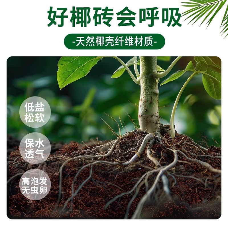 【跨境代发】东南亚欧美直发椰砖营养土养花通用型椰糠脱盐种植土|undefined