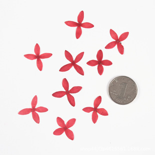 Dragon Boat Flower Dried Flower Embossed Natural Plant Specimen Glue Handmade DIY Bookmark Greeting Card Postcard Embossed Painting