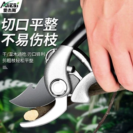 修枝剪;铁皮剪;烹饪勺铲