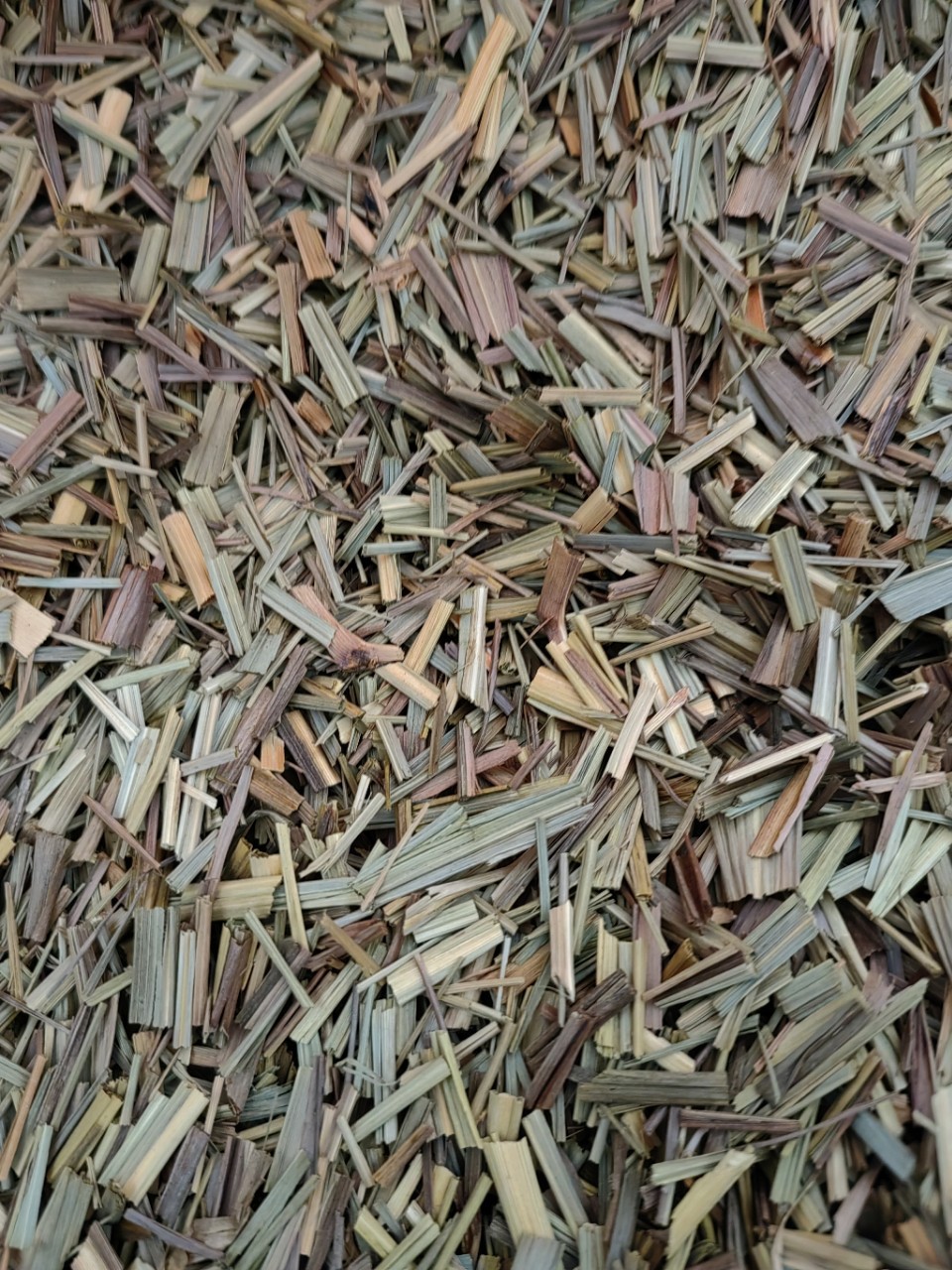 Lemongrass Powder (Cymbopogon citratus) — Dried Xiang Mao Cao Food Herb, 500g overview