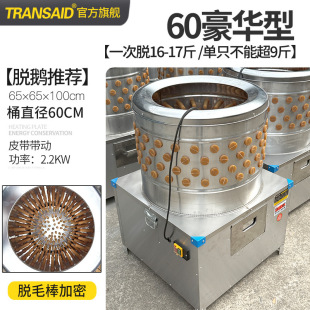 ���S���l���P䓼���Óë�C�����u���Zȥë�C��ë�C��ë�CÓ�Z����