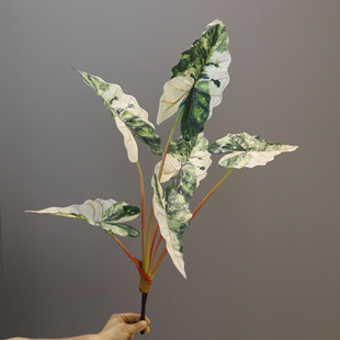 Nordic Light Luxury Style Artificial Green Plant Bionic Fake Plant Potted Colorful Taro Leaves Indoor Living Room Hand-Tied Guanyin Leaf Ornaments