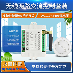 220V Small Industrial Control Two-Way Dual-Button Remote Control Motor Lift Crane Power Supply Lighting Switch