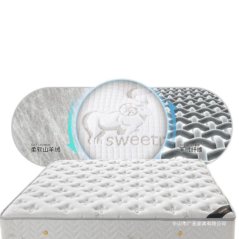 席梦思弹簧床垫乳胶椰棕20加厚经济型1.8床2米双人软硬两用垫|undefined
