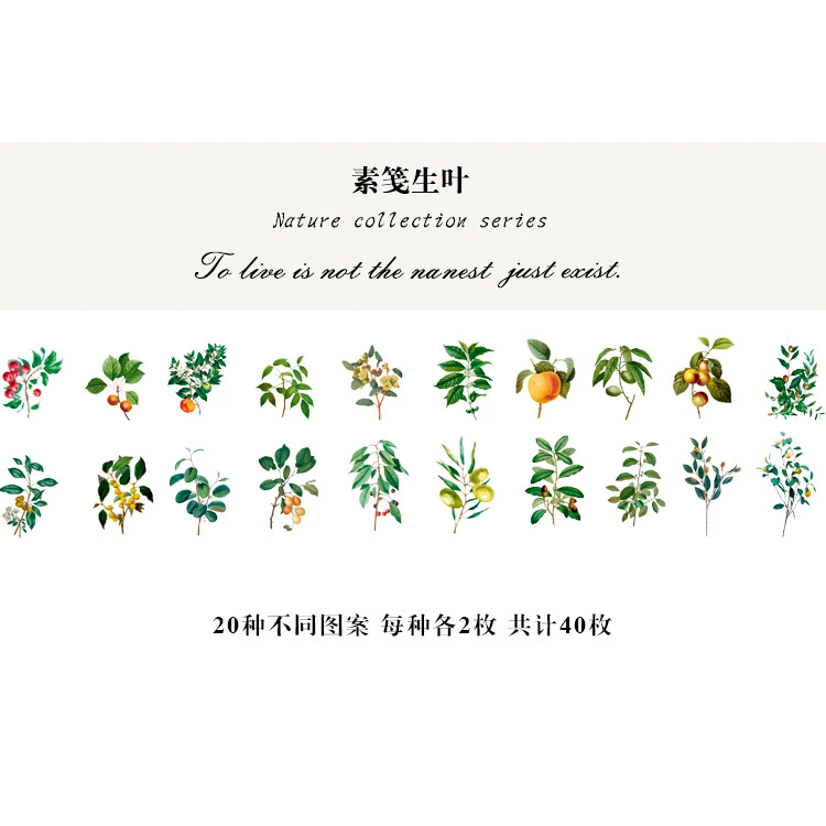 Natural photo collection window series PET handbook post paper bag creative plant DIY decorative post 12 models