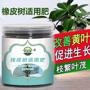��Ƥ�䌣�÷����ļ�����ڽ�����Ƥ���ֲ�ﾏጷʠI�BҺ��Ƥ���