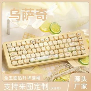 chiiwaka��Сֻ���_�����}�Iñ���ֵ��������AMOA�m��Cе�I�P
