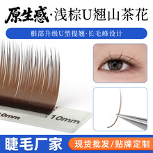 不散根棕色U型山茶花睫毛嫁接美睫店专用彩色UC/UB/UJ卷一取多根