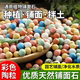 Flower Pot Colored Ceramsite Special Colored Ceramsite Granules Small Ceramsite Small Pebbles Granules Meat Paving Stone