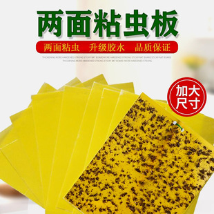 黄板双面粘虫板