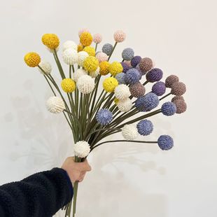 ����7�^�S�����S�����ˇ�OӋ�Ҿ��Ʒ����