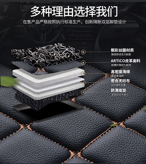 Car Wire Ring Floor Mats Single Piece Car Interior Main Driver and Passenger Rear Carpet Type Car Mats Special Car Models