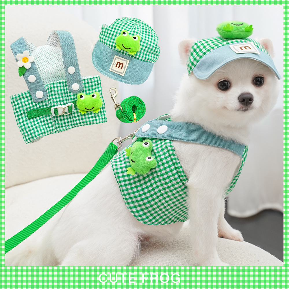 Rana primavera y verano mascotas cinturón de pecho tracción gato cuerda set gatito cachorro ropa de perro para salir artículos de perro
