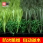 填充婚庆楼顶学校草皮