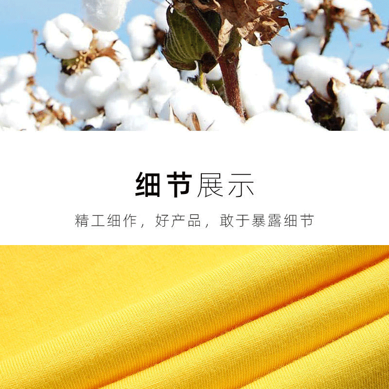 d889baef30031f829b9c6d66d12444