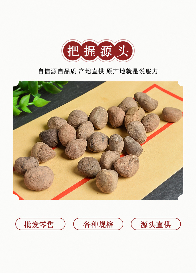 Da Feng Zi (Hydnocarpus anthelminticus) — Dried Chaulmoogra Seeds, Raw Herb Supply key features