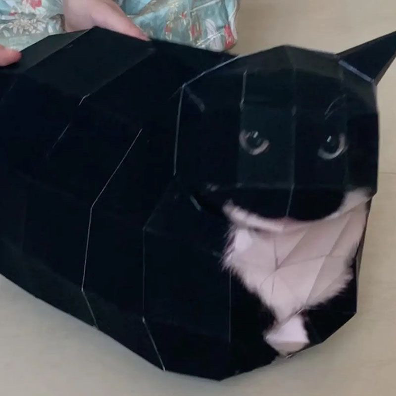 3D立体折り紙モデルミーム手作りおもちゃ面白い抽象素材パッケージシンプルなギフト|undefined