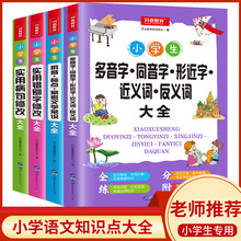 教育知识宝典全套小学生实用病句错别字修改多音字同音字形近字近